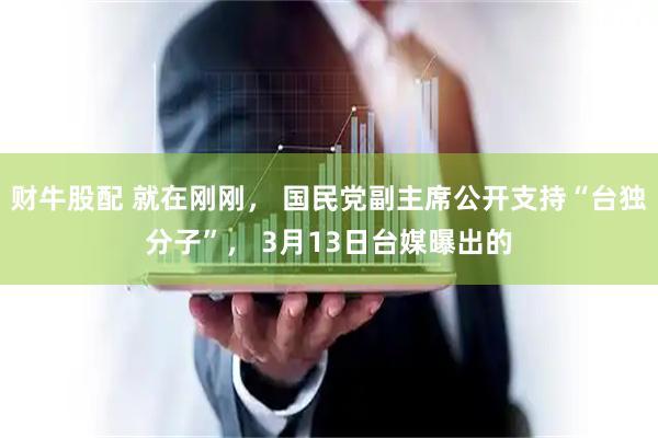 财牛股配 就在刚刚， 国民党副主席公开支持“台独分子”， 3月13日台媒曝出的