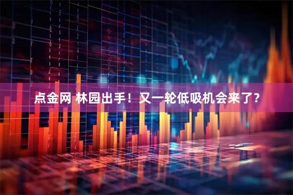 点金网 林园出手！又一轮低吸机会来了？