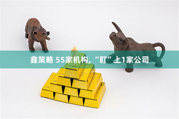鑫策略 55家机构, “盯”上1家公司