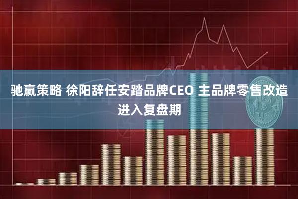 驰赢策略 徐阳辞任安踏品牌CEO 主品牌零售改造进入复盘期