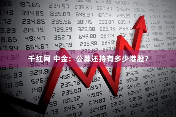 千红网 中金：公募还持有多少港股？
