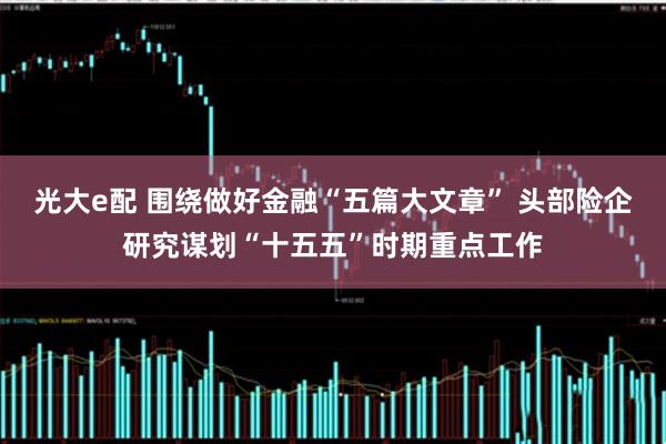 光大e配 围绕做好金融“五篇大文章” 头部险企研究谋划“十五五”时期重点工作