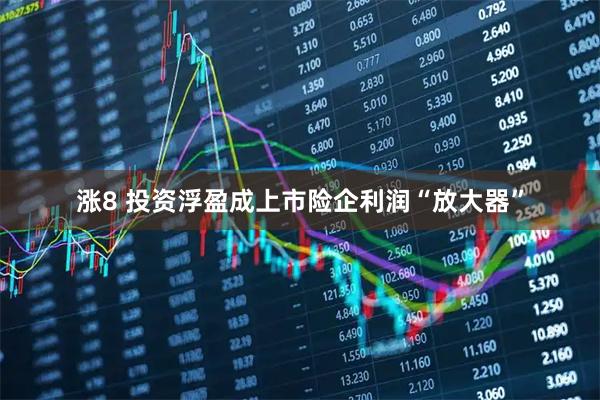涨8 投资浮盈成上市险企利润“放大器”