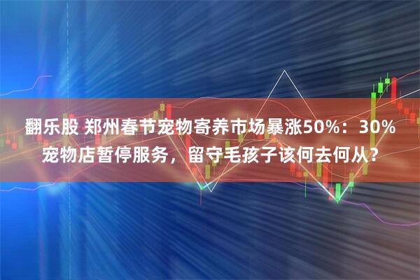 翻乐股 郑州春节宠物寄养市场暴涨50%：30%宠物店暂停服务，留守毛孩子该何去何从？