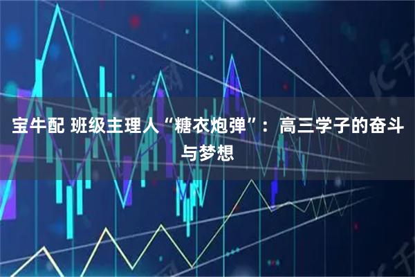 宝牛配 班级主理人“糖衣炮弹”：高三学子的奋斗与梦想
