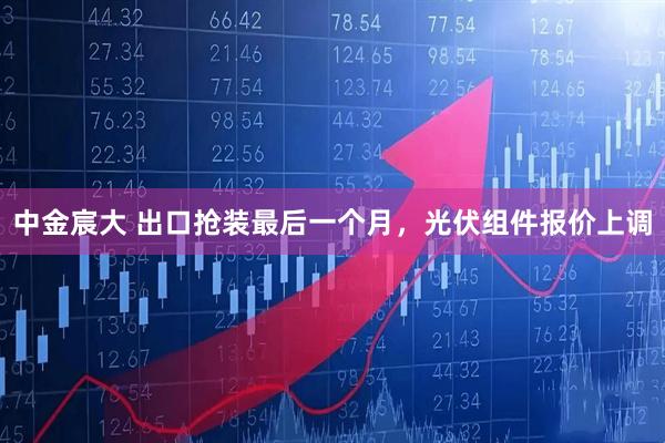 中金宸大 出口抢装最后一个月，光伏组件报价上调