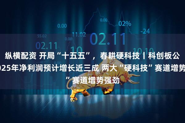 纵横配资 开局“十五五”，春耕硬科技丨科创板公司2025年净利润预计增长近三成 两大“硬科技”赛道增势强劲