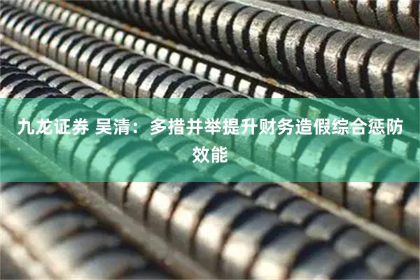 九龙证券 吴清：多措并举提升财务造假综合惩防效能