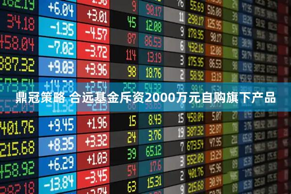 鼎冠策略 合远基金斥资2000万元自购旗下产品