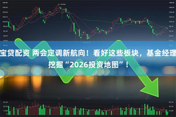 宝贷配资 两会定调新航向！看好这些板块，基金经理挖掘“2026投资地图”！