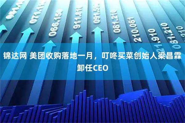 锦达网 美团收购落地一月，叮咚买菜创始人梁昌霖卸任CEO