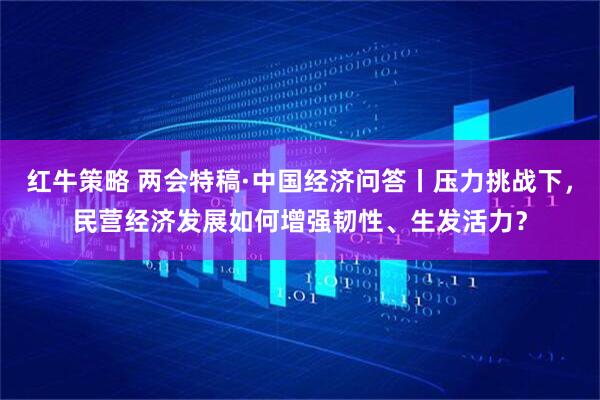 红牛策略 两会特稿·中国经济问答丨压力挑战下，民营经济发展如何增强韧性、生发活力？