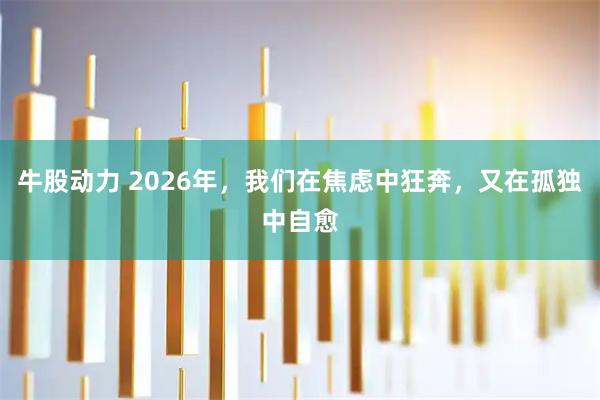 牛股动力 2026年，我们在焦虑中狂奔，又在孤独中自愈