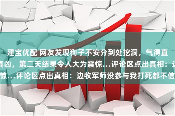 建宝优配 网友发现狗子不安分到处挖洞，气得直接往洞内注水誓要找出真凶，第二天结果令人大为震惊…评论区点出真相：边牧军师没参与我打死都不信…