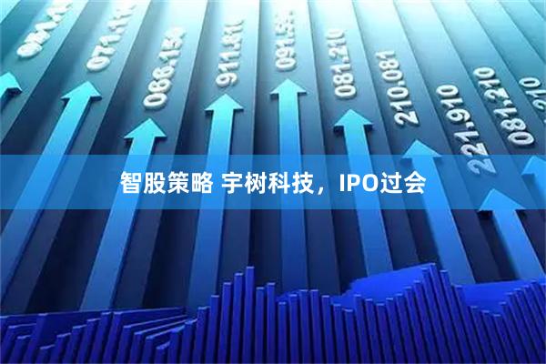 智股策略 宇树科技，IPO过会