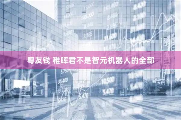 粤友钱 稚晖君不是智元机器人的全部