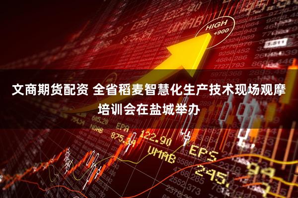 文商期货配资 全省稻麦智慧化生产技术现场观摩培训会在盐城举办
